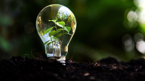 Proven Low-Carbon Strategies for Sustainable Web Design